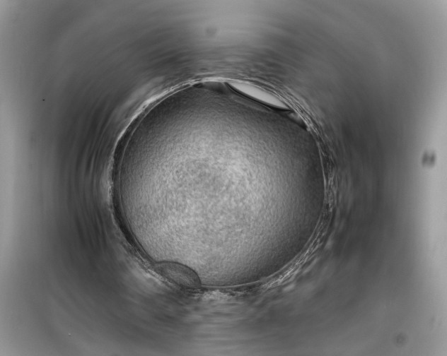 X0000099490290200805291112