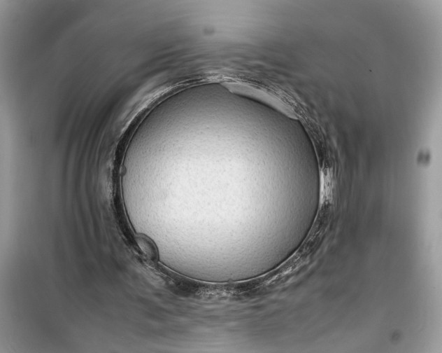 X0000099490291200805291112