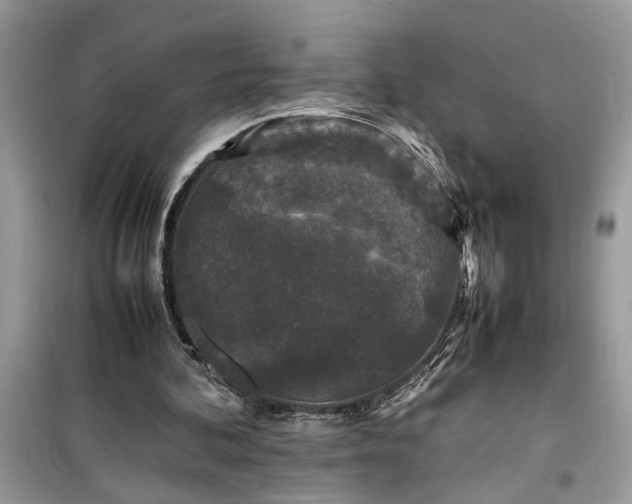 X0000099490292200805291112