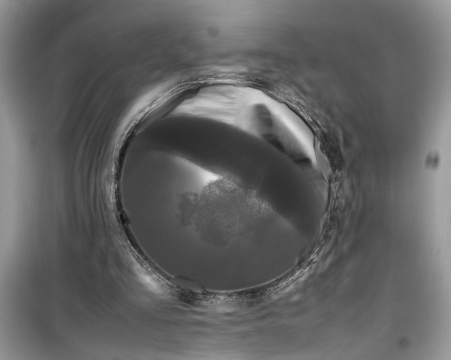 X0000099490293200805291112