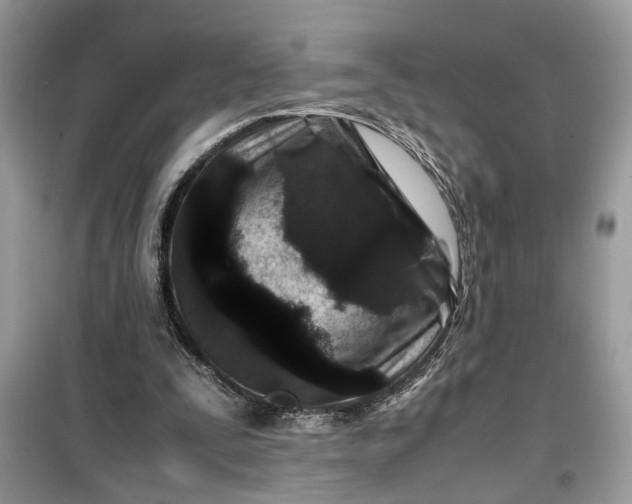 X0000099490295200805291112