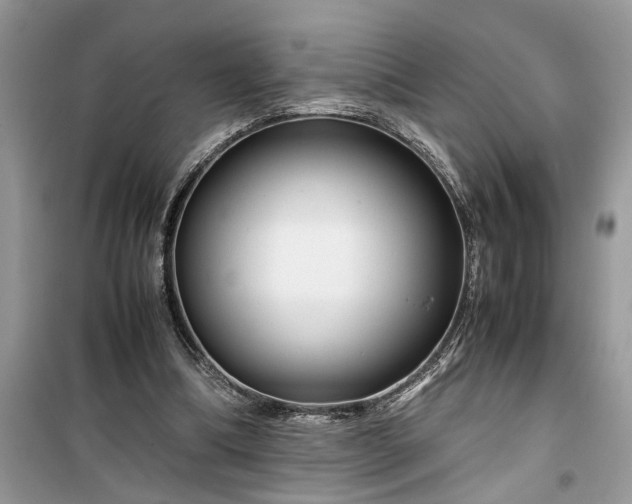 X0000099490298200805291112