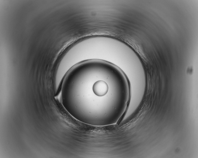 X0000099490300200805291112