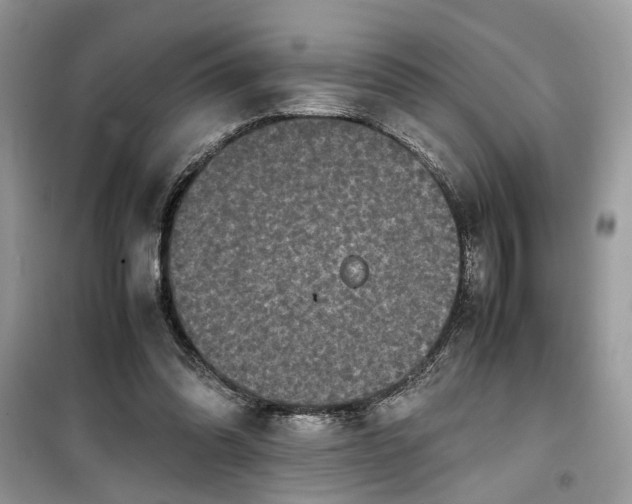 X0000099490302200805291112