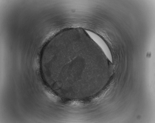 X0000099490303200805291112