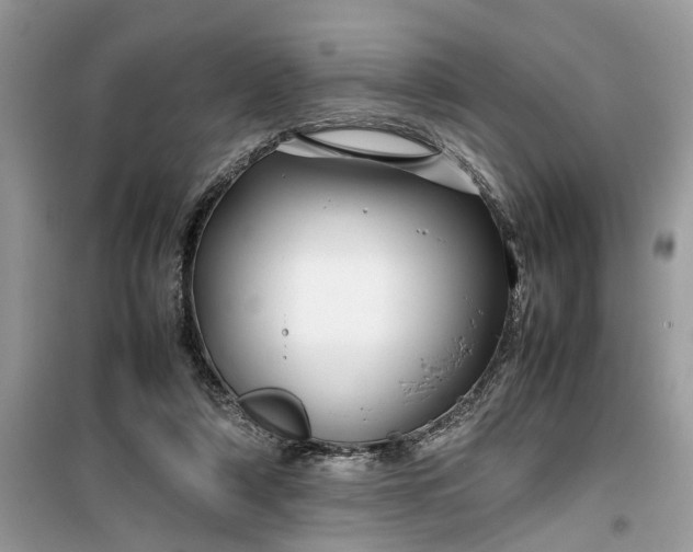 X0000099490306200805291112