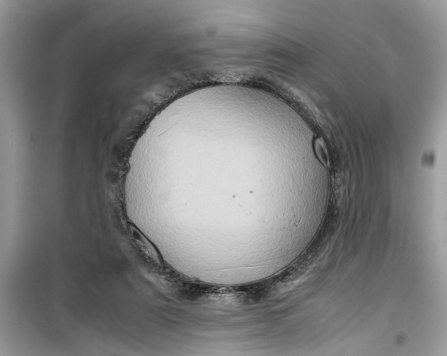 X0000099490307200805291112