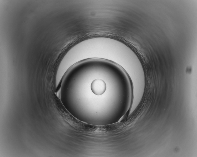 X0000099490308200805291112