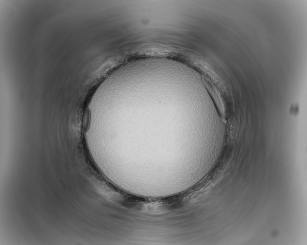 X0000099490309200805291112