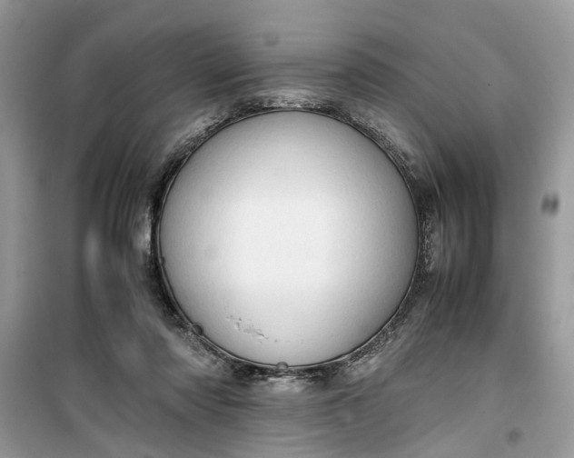 X0000099490310200805291112