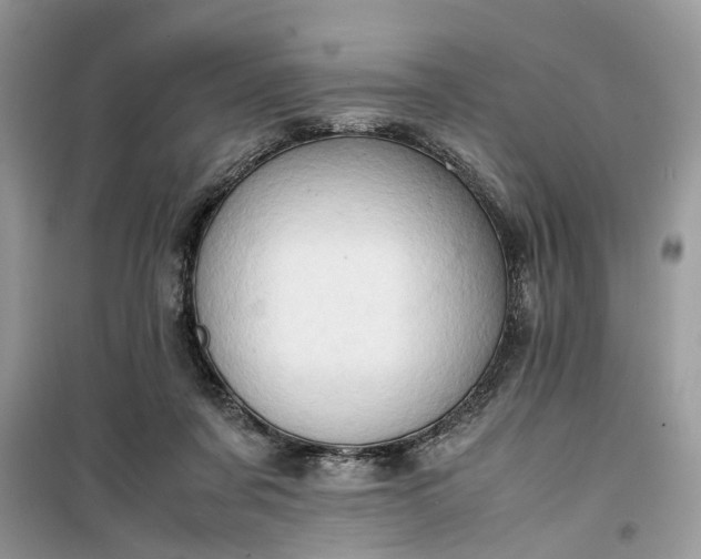 X0000099490311200805291112