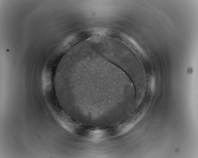 X0000099490312200805291112