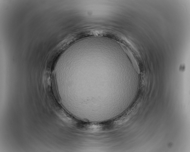 X0000099490313200805291112