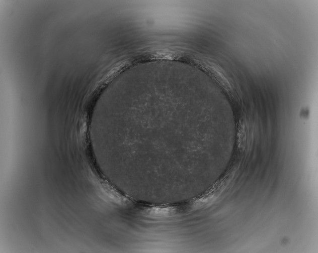 X0000099490314200805291112