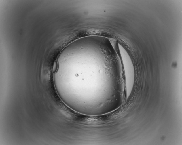 X0000099490315200805291112