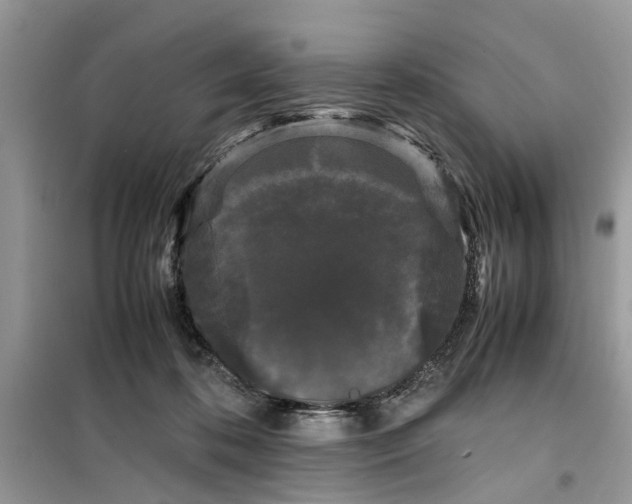 X0000099490316200805291112