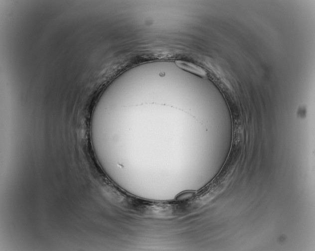 X0000099490317200805291112