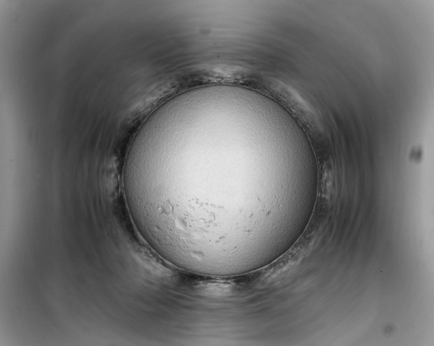 X0000099490318200805291112