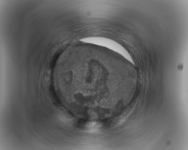 X0000099490319200805291112