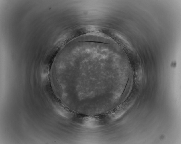 X0000099490320200805291112