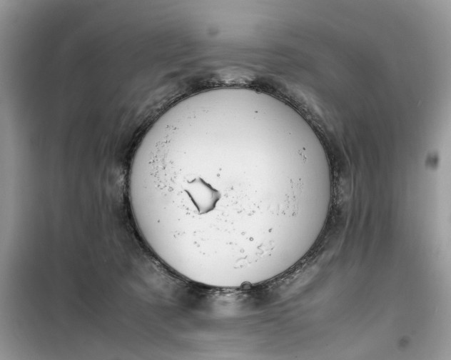 X0000099490321200805291112