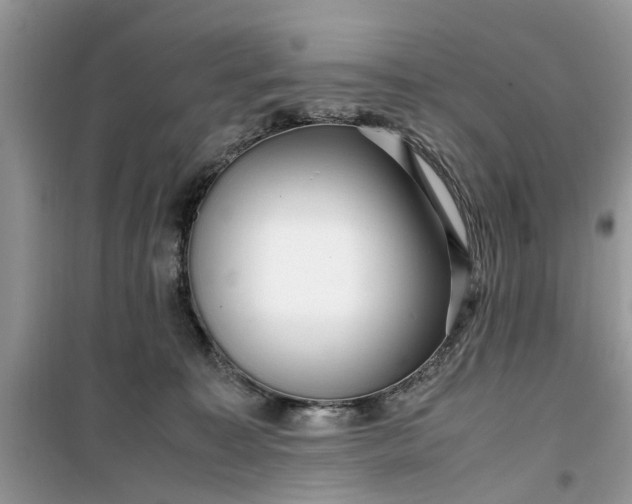 X0000099490323200805291112