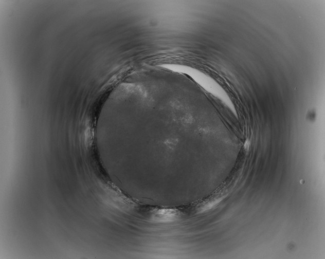 X0000099490324200805291112