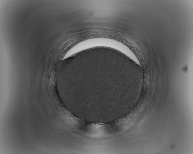 X0000099490325200805291112