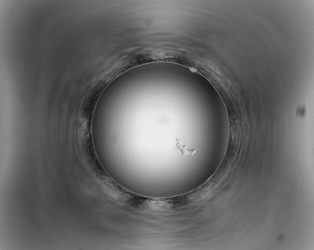 X0000099490327200805291112