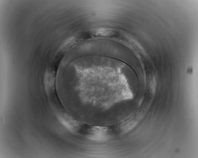 X0000099490328200805291112