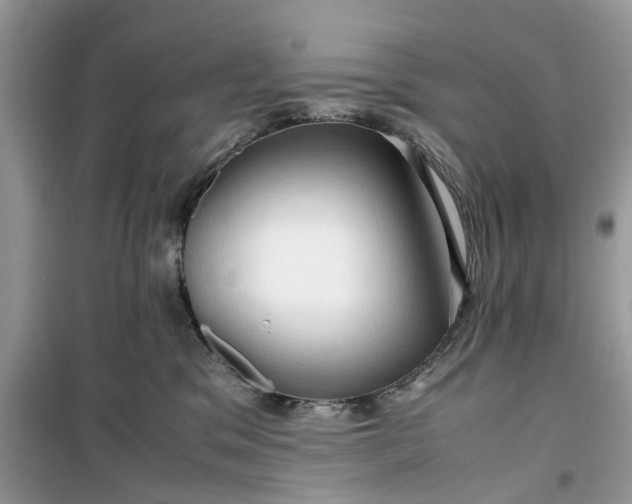 X0000099490329200805291112