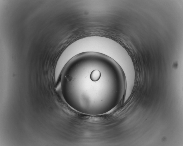 X0000099490332200805291112