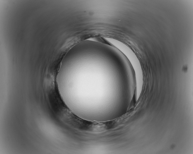 X0000099490333200805291112