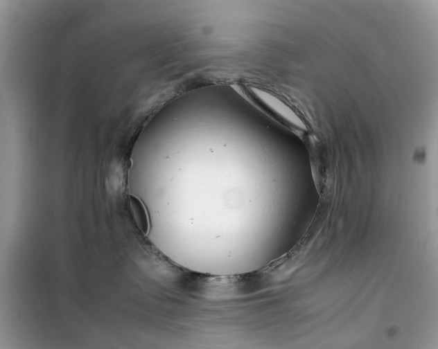 X0000099490335200805291112