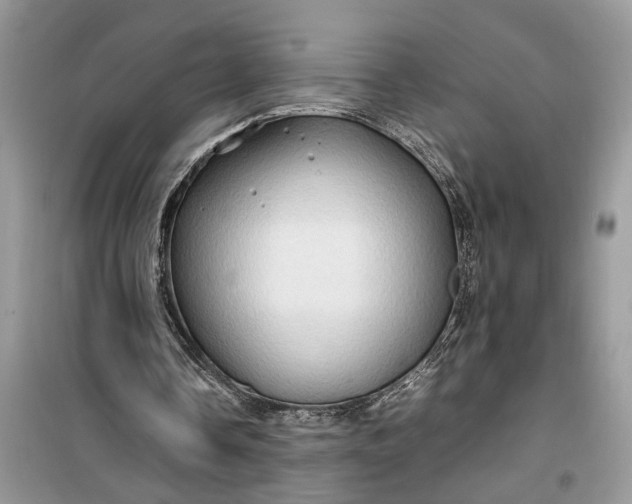 X0000099490338200805291111