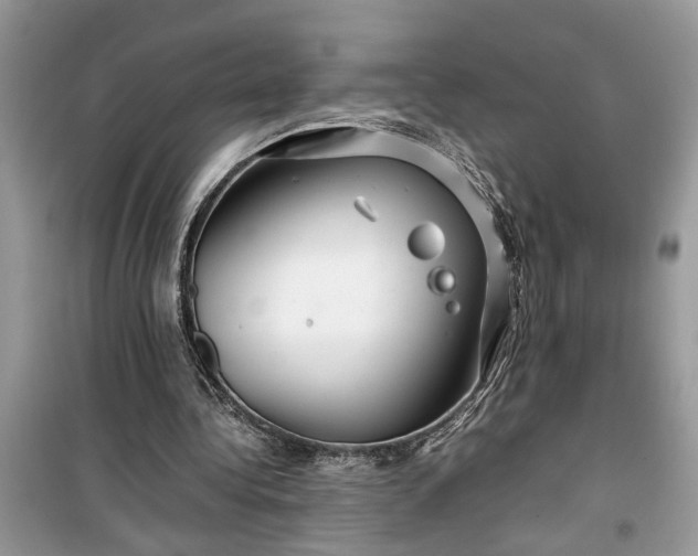 X0000099490340200805291111