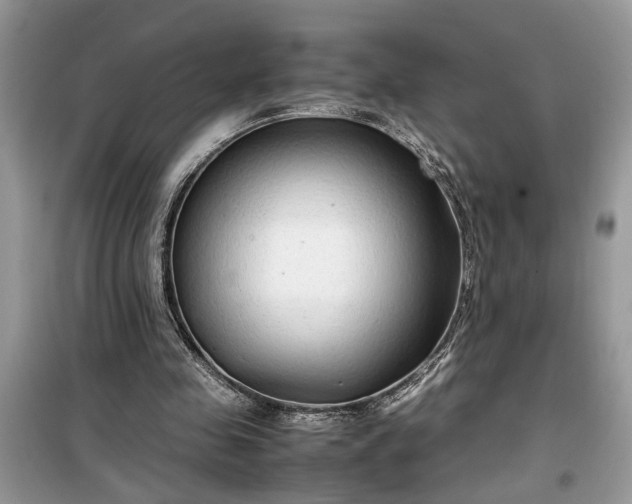 X0000099490341200805291111