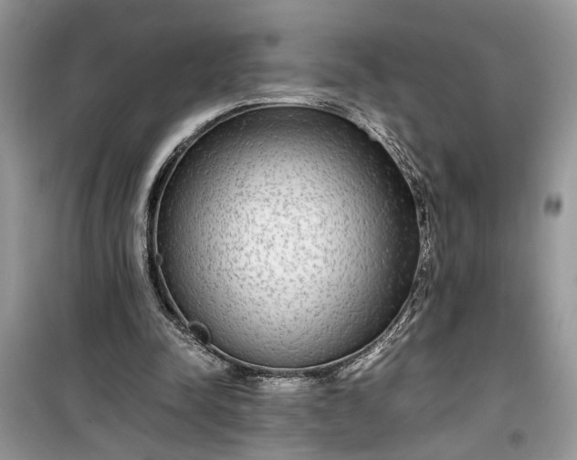 X0000099490342200805291111