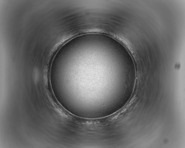 X0000099490345200805291111