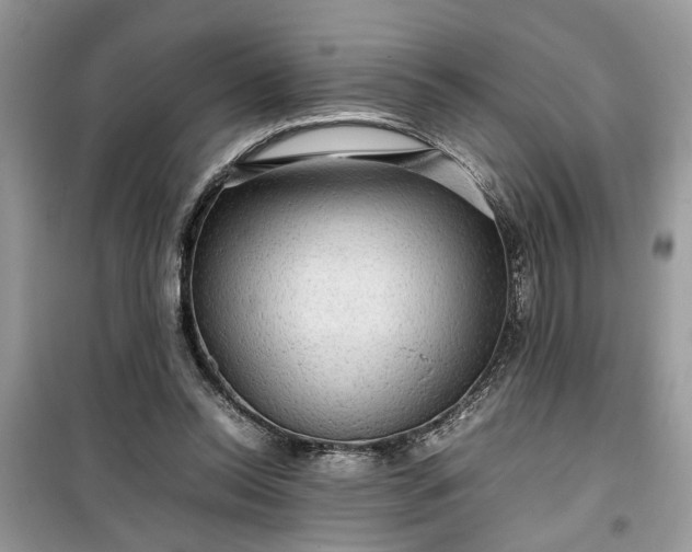 X0000099490350200805291111