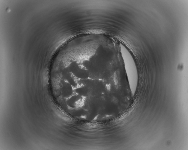 X0000099490351200805291111