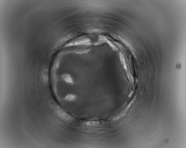 X0000099490353200805291111