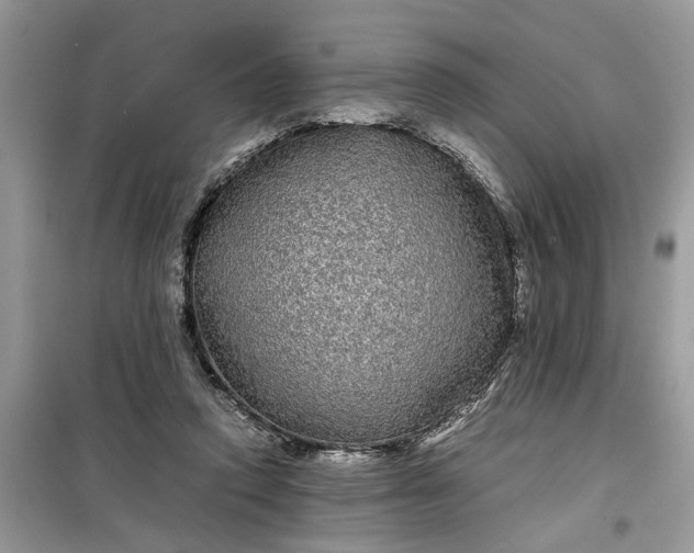 X0000099490354200805291111