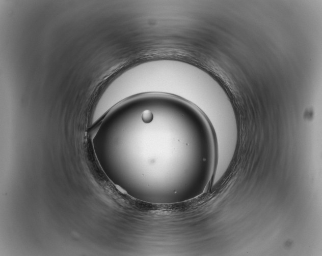 X0000099490356200805291111