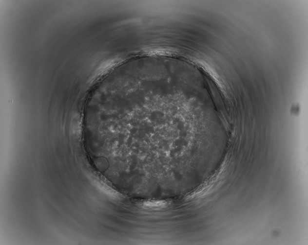 X0000099490357200805291111