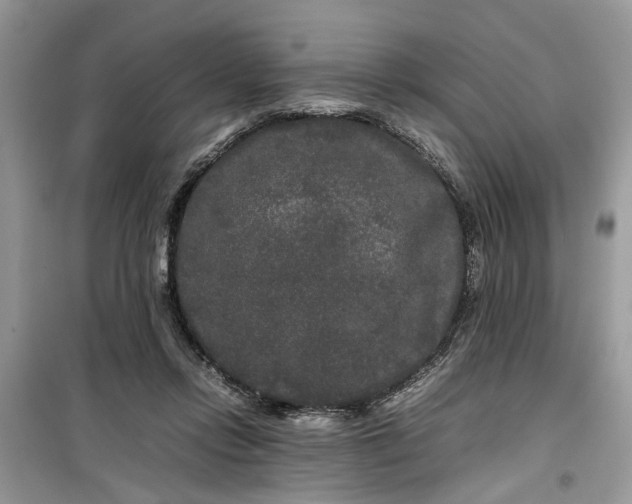 X0000099490358200805291111