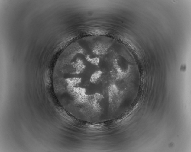 X0000099490359200805291111