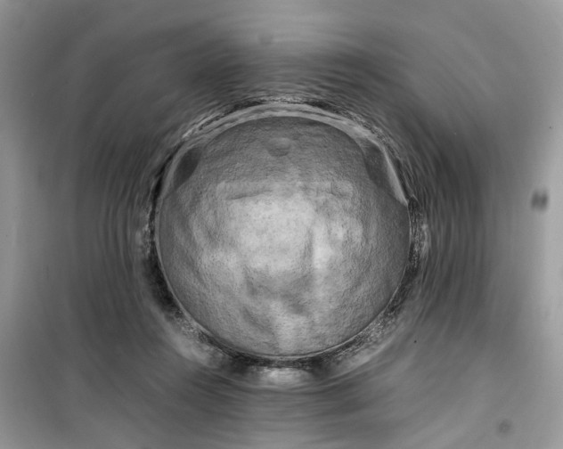 X0000099490360200805291111