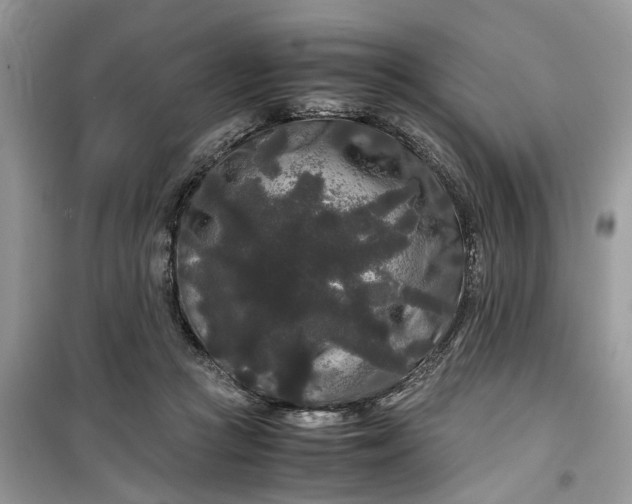 X0000099490361200805291111