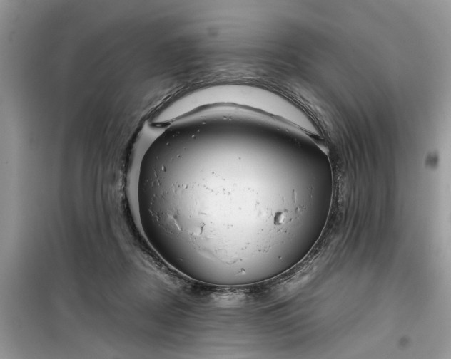 X0000099490362200805291111